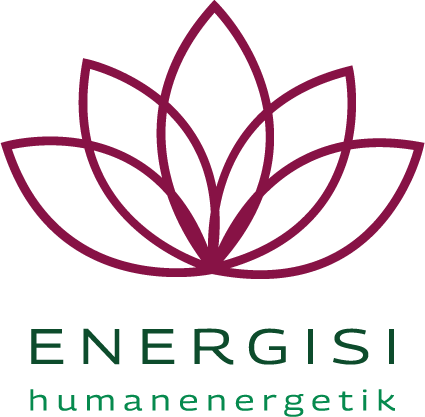 Logo_Energisi_Humanenergetik